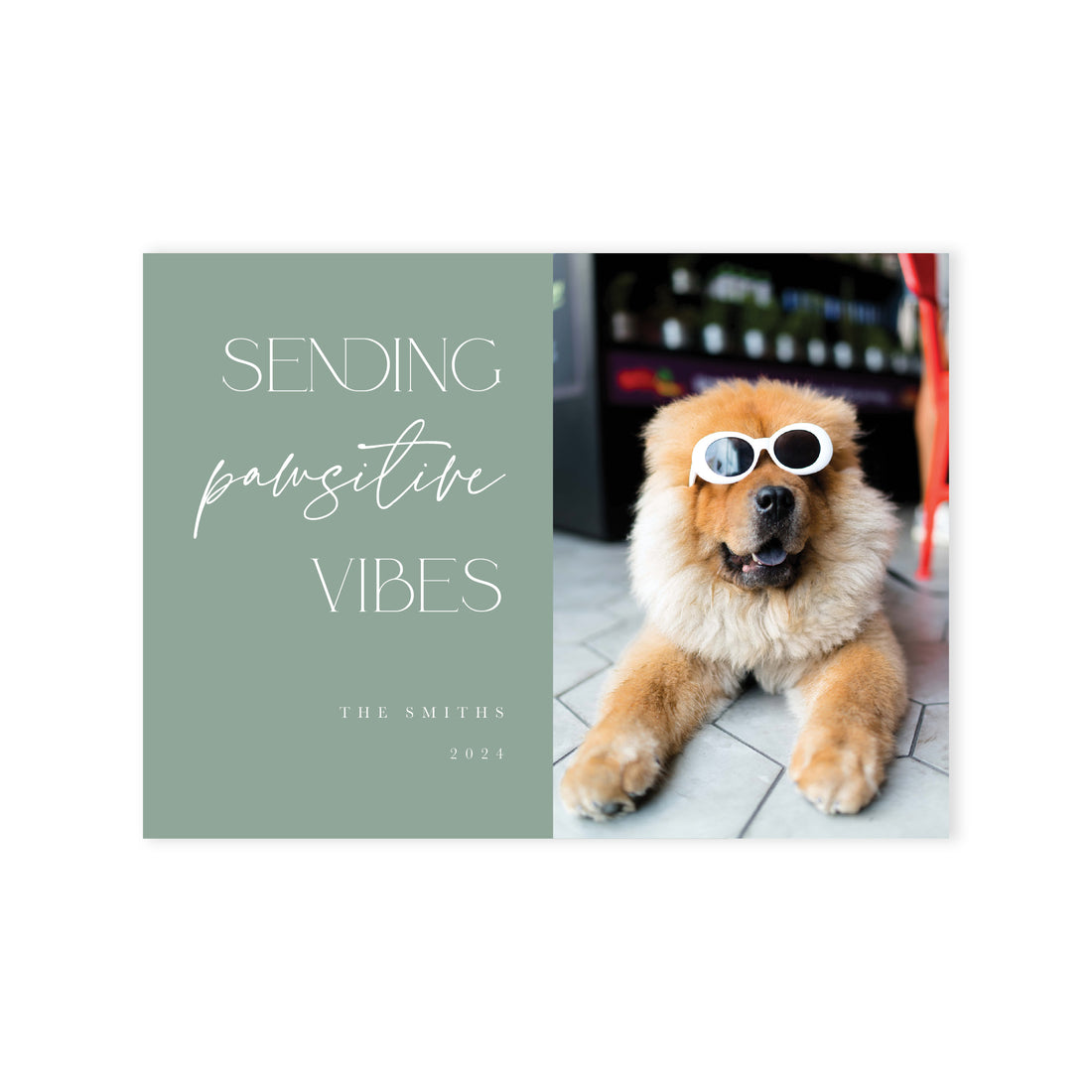 Pawsitive Vibes