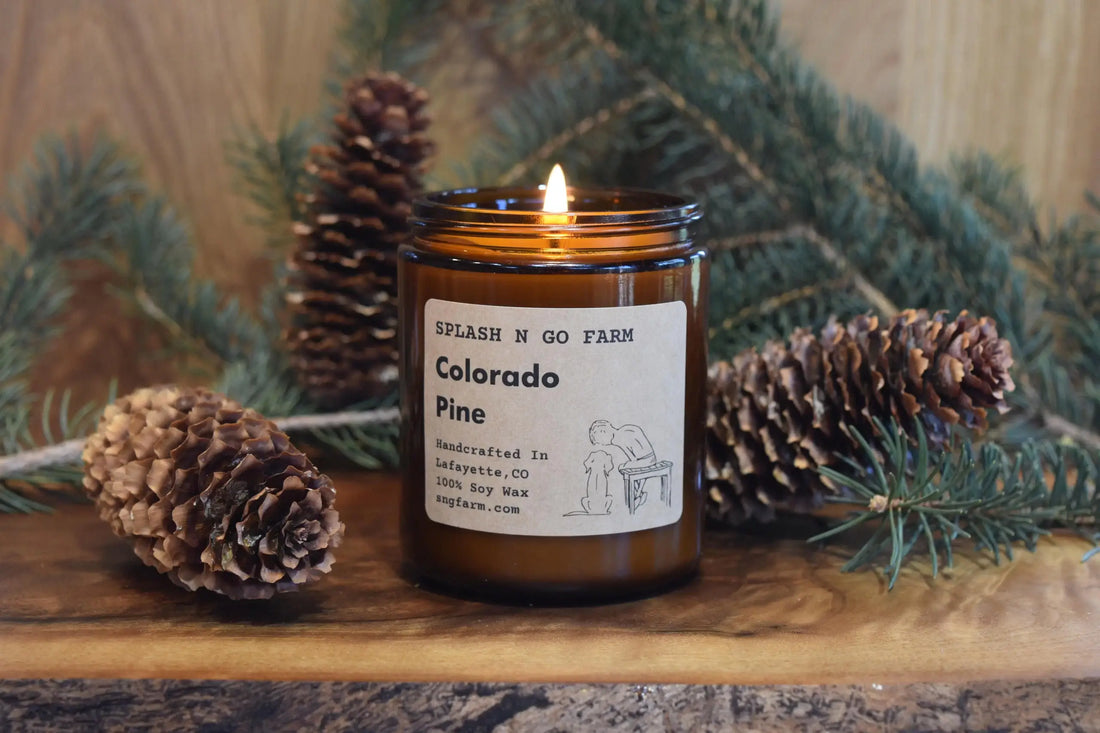 Colorado Pine Soy Candle