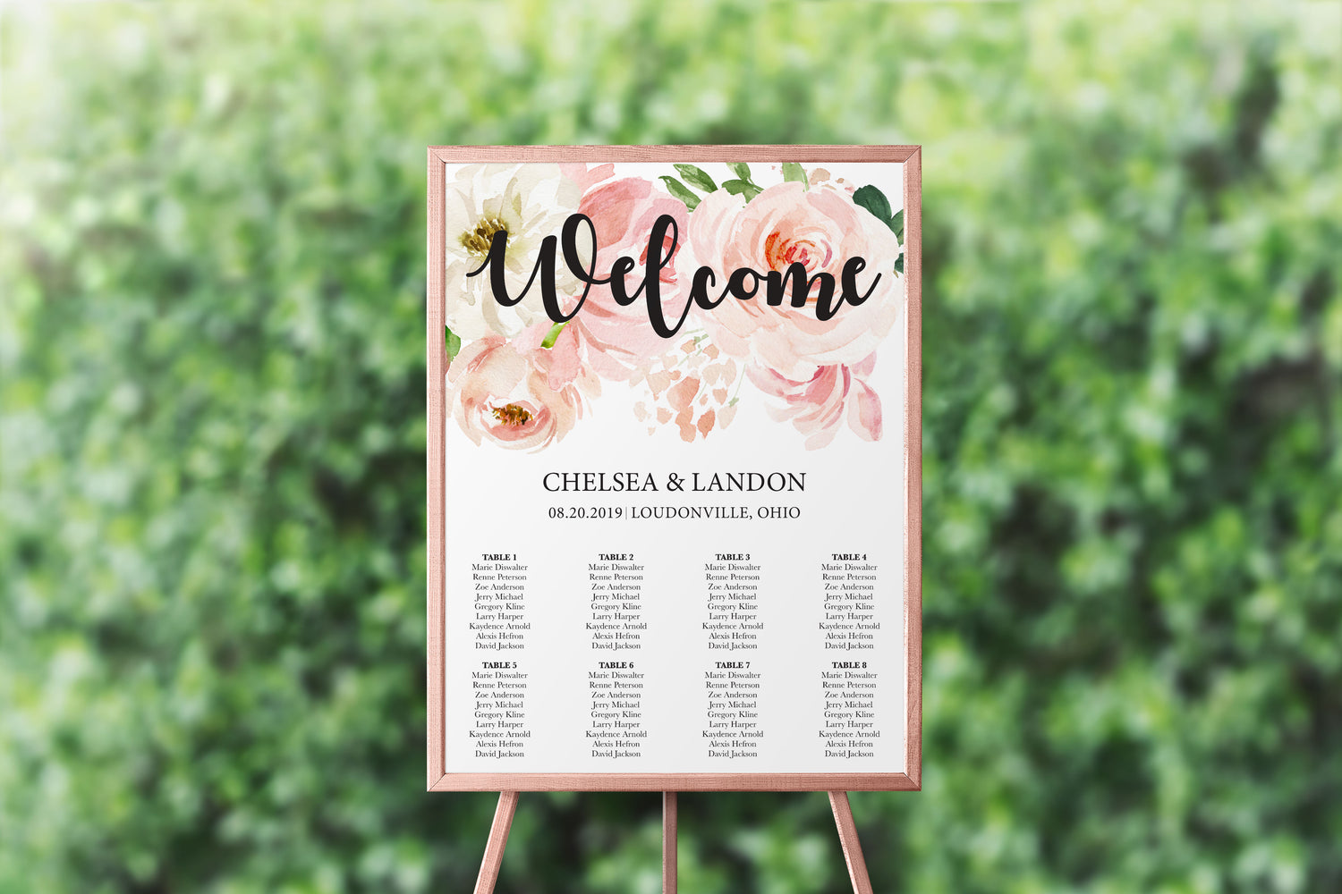 Soft Blush Seating Chart