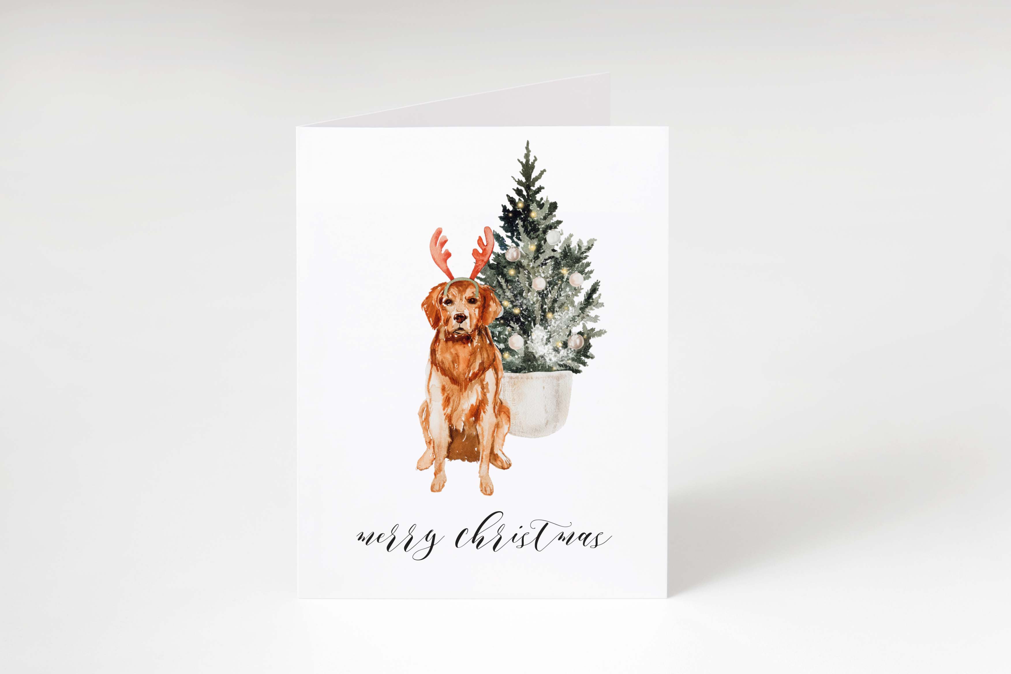 Holiday Note Cards - The Golden Set (24 pack)